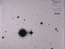 CODEINE: Frigid Stars LP (2 LPs, reissue, w/ cd of the album) Rock & Pop