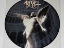 Angel Dust 'Enlighten The Darkness' LTD Ed. Pic LP Picture Disc Vinyl Record NM