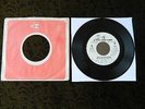 THE KINKS DO YOU REMEMBER WALTER THE VILLAGE GREEN PRES SOCIETY (REPRISE WLP) 45