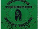 Bunny Wailer / Rise And Shine / Vinyl / Roots Reggae / Solomonic / 1981 / UK