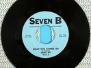 NORTHERN SOUL RB 45 EDDIE BO WHAT YOU GONNA DO/FALLIN' IN LOVEAGAIN  VG++  HEAR