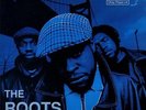 Roots 