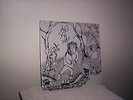 SPIKE IN VAIN-DISEASE IS RELATIVE-OHIO PRIVATE PRESS PUNK LP-STILL SEALED