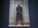 GRAHAM PARKER AND THE RUMOUR - PARKERILLA - UK PROMO POSTER (BARNEY BUBBLES)