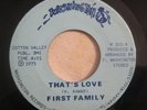 Sweet Soul/Funk 45 First Family That's Love/Slow Down WASHINGTON Ex MILWAUKEE