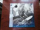 LP ALBUM DAVID SYLVIAN SECRETS OF THE BEEHIVE JAPAN OBI