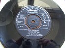 THE FAVOURITE SONS - That driving beat, UK Mercury 45 1966 MOD FUZZ FREAKBEAT