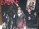 EAZY -E EAZY DUZ IT DOUBLE ALBUM VINYL RECORD N.W.A ICE CUBE DR. DRE MC REN