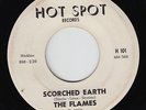 Garage Mod Surf 45 THE FLAMES 