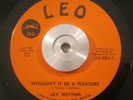 Soul/Funk 45 Jay Rhythm - Wouldn't It Be A Pleasure/Soul Emotions LEO NM ORIG