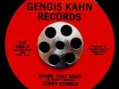 BOOGIE FUNK 45 TERRY GENGIS 