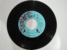 JIM GALLOWAY Lay Back In Texas / Family Man COUNTRY Tweet 101 Signed 45 rpm HEAR