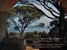 GIULINI / Falla The Three-Cornered Hat / Columbia Turquoise Blue&Silver SAX 2341
