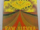 Rare 1970 SAVOY BROWN 