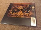 The Cardigans Long Gone Before Daylight Vinyl LP Rare Ex/ex