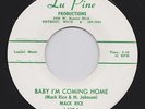 Northern Soul R&B / Mack Rice / Baby I'm Coming Home / Lu Pine 