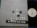 STEVE HAYES - Made in Tulsa 1980 Lo-Fi Wasted Outsider Loner Folk AUTOGRAPHED M-