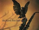 Coleman Hawkins The Hawk Flies High LP deep groove Riverside excellent vinyl