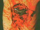 Indecent & Obscene - Dismember (2011, Vinyl NUEVO)