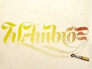 WOLFGANG AMBROS - WIE IM SCHLAF (REMASTERED)  LP + DOWNLOAD NEU