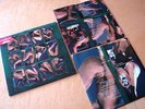 LP - Catherine Wheel - Adam And Eve / Limited Editiion