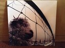 Pearl Jam-Vs. Original 1993 LP   nirvana soundgarden alice in chains
