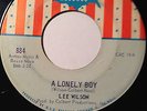 NORTHERN SOUL 45/ LEE WILSON 