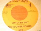 THE FLOWER POWER 
