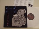 SADUS - Illusions LP Sadus Records 1988 NM Original 1. Press Death Thrash