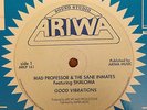 Mad Professor Sane Inmates Good Vibrations Lee Perry OG NM UK 12