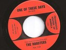 ROOSTERS one of these days / you gotta run HEAR 60s GARAGE beat PSYCH mod