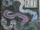 R.E.M., 'Reckoning' [VINYL][1st Edition][MINT][I.R.S. Records SP 70044]