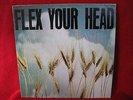 FLEX YOUR HEAD Dischord LP 1982 WHEAT COVER w/ Poster MINOR THREAT Govt Issue