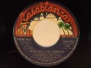 Karen Pree 45 MAKE LOVE LAST FOREVER / inst.   VG+ r+b