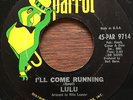 LULU I'll come running RARE FREAKBEAT parrot 45 MOD JIMMY PAGE hear it