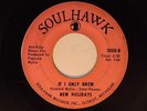 The New Holidays 45 IF I ONLY KNEW / MAYBE SO MAYBE NO   VG--to G+ r+b