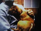 Shing02 + Nujabes / Luv (sic.) 12Inch Vinyl [HOR-020] [Mint] Hydeout Productions