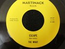 The What Escape/Summertime 45  garage psych rock Martinack 45-1001 VG+