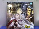 I RAMINGHI-LP-...IL LUNGO CAMMINO DEI RAMINGHI-