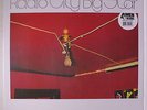 BIG STAR: Radio City LP (180 gram reissue) Rock & Pop