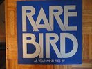 Rare Bird,As Your Mind Flies By,The Famous Charisma Label,LP