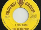 RARE MICHIGAN GARAGE-FUNK / SOUL-COCONUT GROOVE 4020-THE CORRUPTERS-45-(NM)