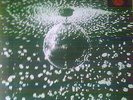 Neil Young - Mirror Ball   Doppel LP