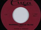 Novelty Break-In 45 RUSTAD & WIERMAN Meanwhile, Back At The Pad CUCA HEAR VG++