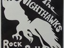 NIGHTHAWKS rock n roll PRIVATE MARYLAND GARAGE vinyl lp 75' PSYCH