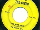 BEAUX JENS - SHE WAS MINE / TROUBLE BABY 45 '66 garage killer HEAR