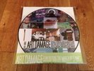 FEAR BEFORE THE MARCH OF FLAMES Art Damage Picture Disc Vinyl LP Record thrice