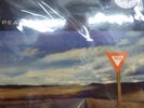 PEARL JAM -YIELD -  RARE MARBLED WHITE VINYL LP NEW & SEALED