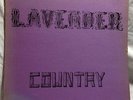 LAVENDER COUNTRY PATRICK HAGGERTY ORIG '73 LP PRIVATE COUNTRY DIY GAY OUTSIDER