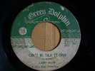 RARE NORTHERN SOUL  LARRY ALLEN  cant we talk it over  GREEN DOLPHIN  RARE PA.